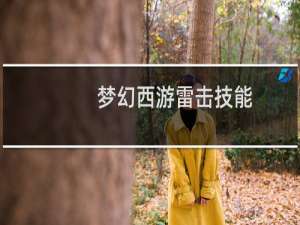 梦幻西游雷击技能