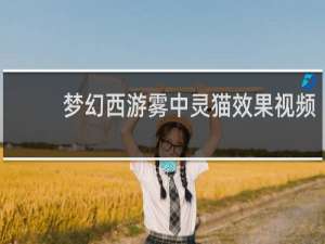 梦幻西游雾中灵猫效果视频
