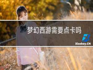 梦幻西游需要点卡吗