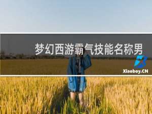 梦幻西游霸气技能名称男
