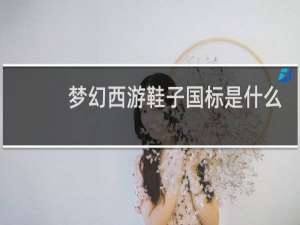 梦幻西游鞋子国标是什么