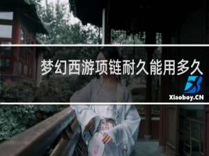 梦幻西游项链耐久能用多久