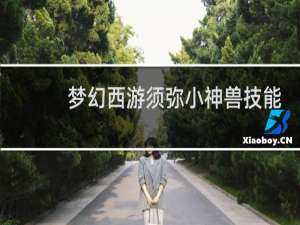 梦幻西游须弥小神兽技能