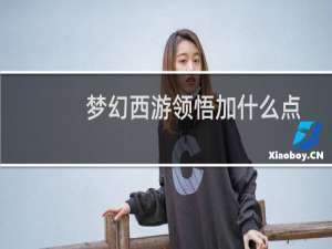 梦幻西游领悟加什么点