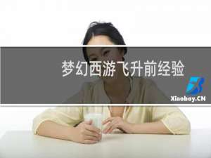 梦幻西游飞升前经验