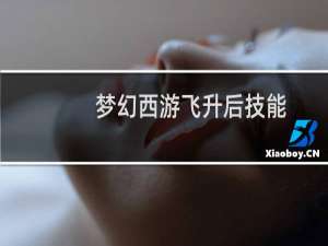 梦幻西游飞升后技能