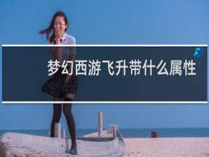 梦幻西游飞升带什么属性