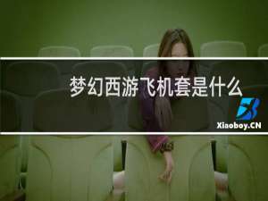 梦幻西游飞机套是什么