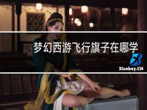 梦幻西游飞行旗子在哪学