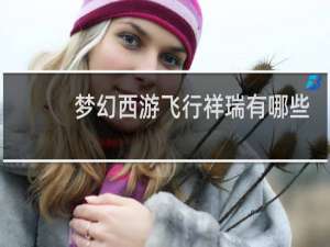 梦幻西游飞行祥瑞有哪些