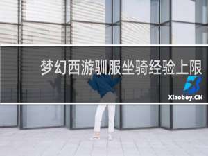 梦幻西游驯服坐骑经验上限