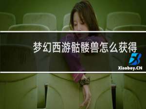 梦幻西游骷髅兽怎么获得