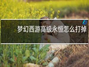 梦幻西游高级永恒怎么打掉