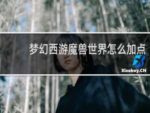 梦幻西游魔兽世界怎么加点