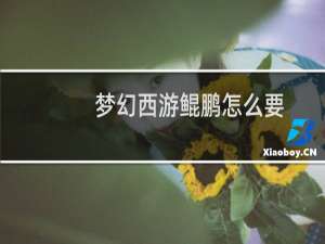 梦幻西游鲲鹏怎么要