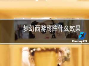 梦幻西游鹰阵什么效果