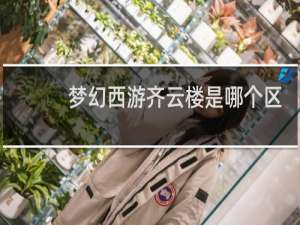 梦幻西游齐云楼是哪个区