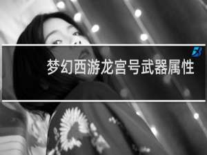 梦幻西游龙宫号武器属性