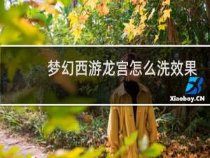 梦幻西游龙宫怎么洗效果