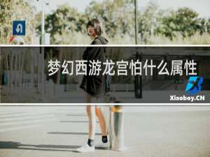梦幻西游龙宫怕什么属性
