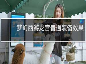 梦幻西游龙宫普通装备效果