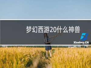 梦幻西游 什么神兽