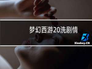 梦幻西游 洗剧情