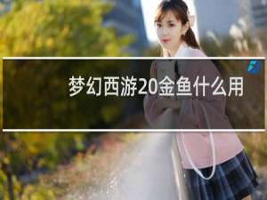 梦幻西游 金鱼什么用