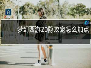 梦幻西游 隐攻宠怎么加点