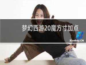 梦幻西游 魔方寸加点