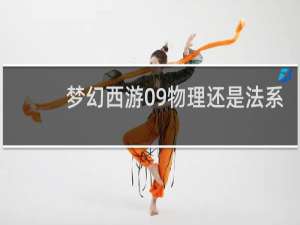 梦幻西游09物理还是法系