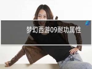 梦幻西游09耐功属性
