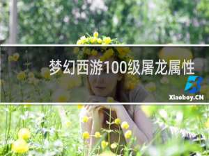 梦幻西游100级屠龙属性
