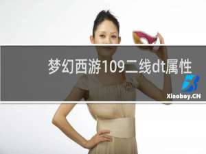 梦幻西游109二线dt属性