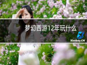 梦幻西游12年玩什么