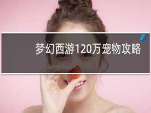 梦幻西游120万宠物攻略