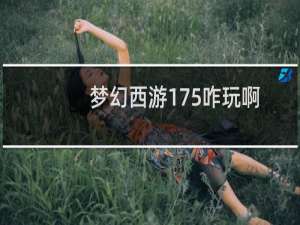 梦幻西游175咋玩啊