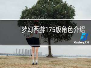 梦幻西游175级角色介绍