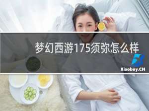 梦幻西游175须弥怎么样
