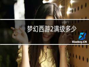 梦幻西游2满级多少