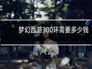 梦幻西游300环需要多少钱
