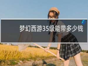 梦幻西游35级能带多少钱