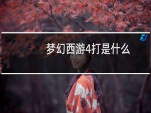 梦幻西游4打是什么