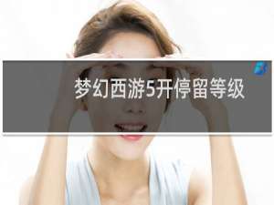 梦幻西游5开停留等级