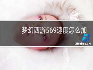 梦幻西游569速度怎么加