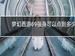 梦幻西游69强身可以点到多少