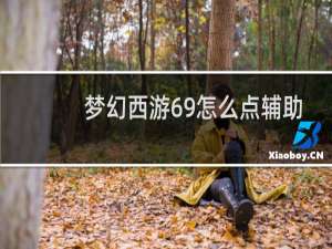 梦幻西游69怎么点辅助