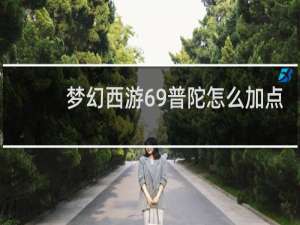 梦幻西游69普陀怎么加点