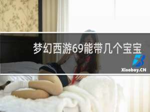 梦幻西游69能带几个宝宝
