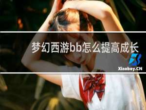 梦幻西游bb怎么提高成长